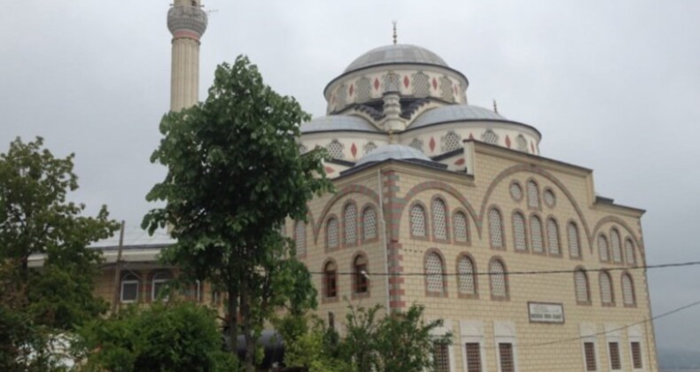 Mescitte kaçak göçmenleri yakaladı, sürgün edildi: ‘Hayal görmüşsün’