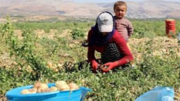 Mevsimlik tarım personellerinin çalışma şartlarının güzelleştirilmesine yönelik yeni düzenlemeler Resmi Gazete’de