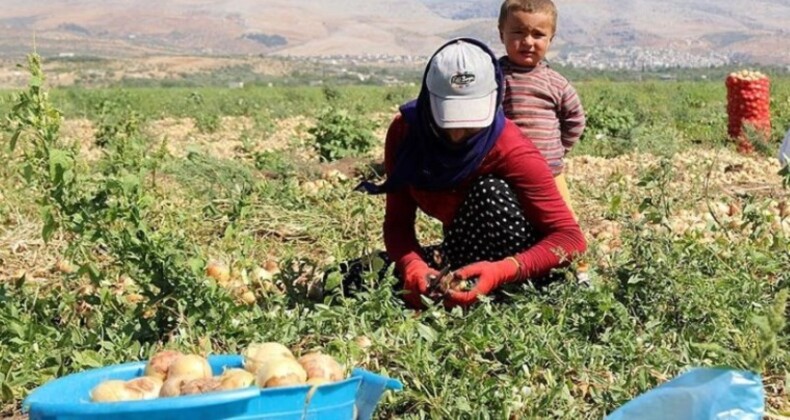 Mevsimlik tarım personellerinin çalışma şartlarının güzelleştirilmesine yönelik yeni düzenlemeler Resmi Gazete’de