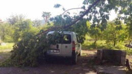 Muğla’da fırtına: Ağaçlar devrildi, çatı uçtu