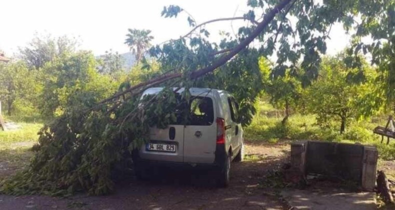 Muğla’da fırtına: Ağaçlar devrildi, çatı uçtu