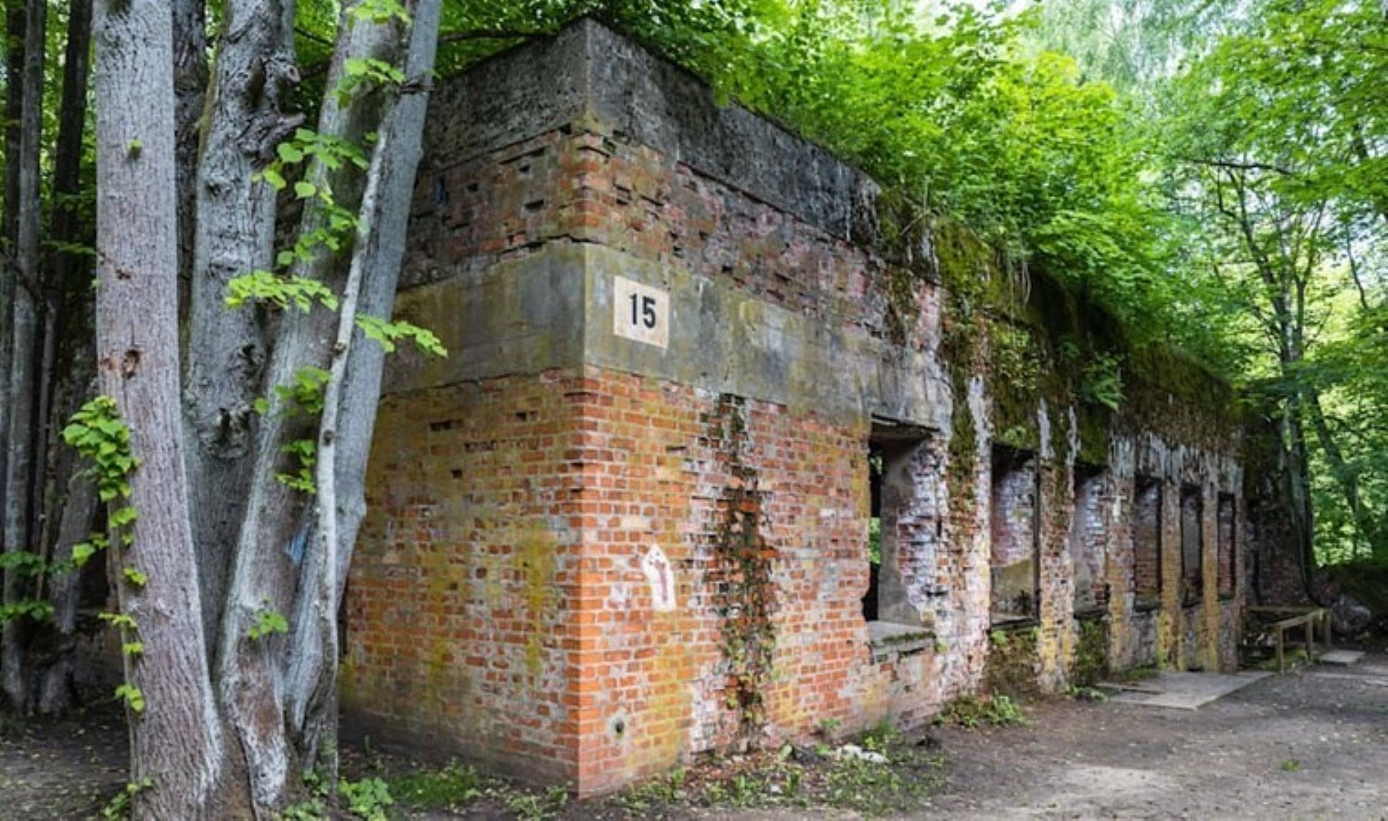 Nazi kumandanının konutunda cesetler keşfedildi: ‘Yeraltına gömülmüş bir aile…’