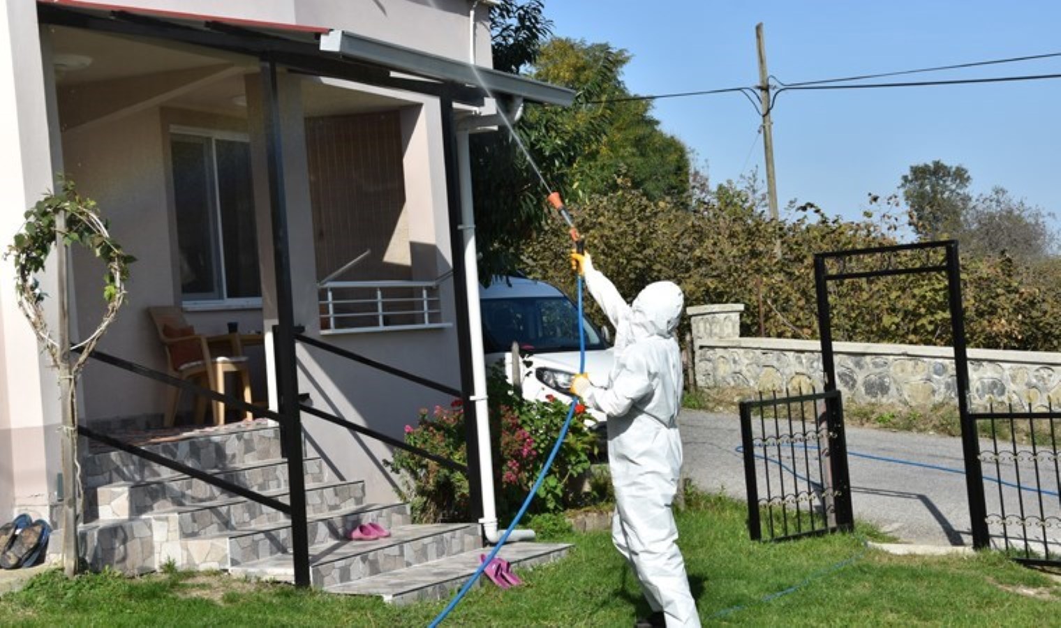 Ordu’da kahverengi kokarca ile uğraş sürüyor: 40 bin noktada ilaçlama yapıldı