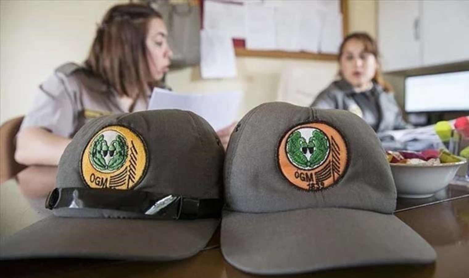 Orman Genel Müdürlüğü personel alımı başvurusu ne vakit? Orman Genel Müdürlüğü emekçi alımı başvurusu nasıl yapılır?