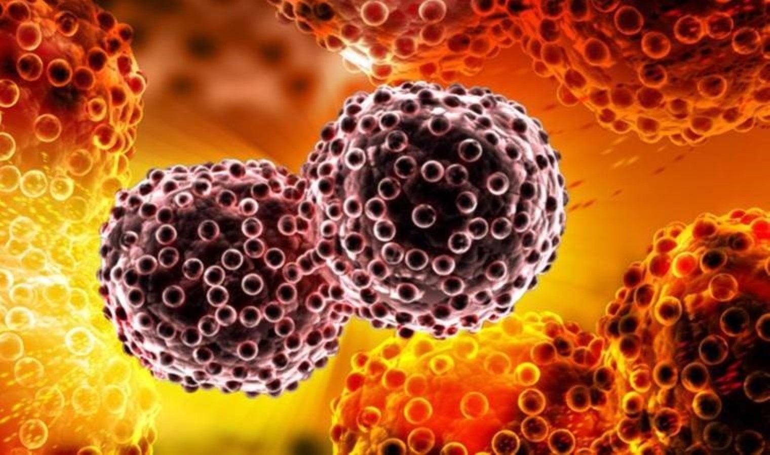 Tabiatta kendi kendine yetişiyor, kansere deva oluyor!