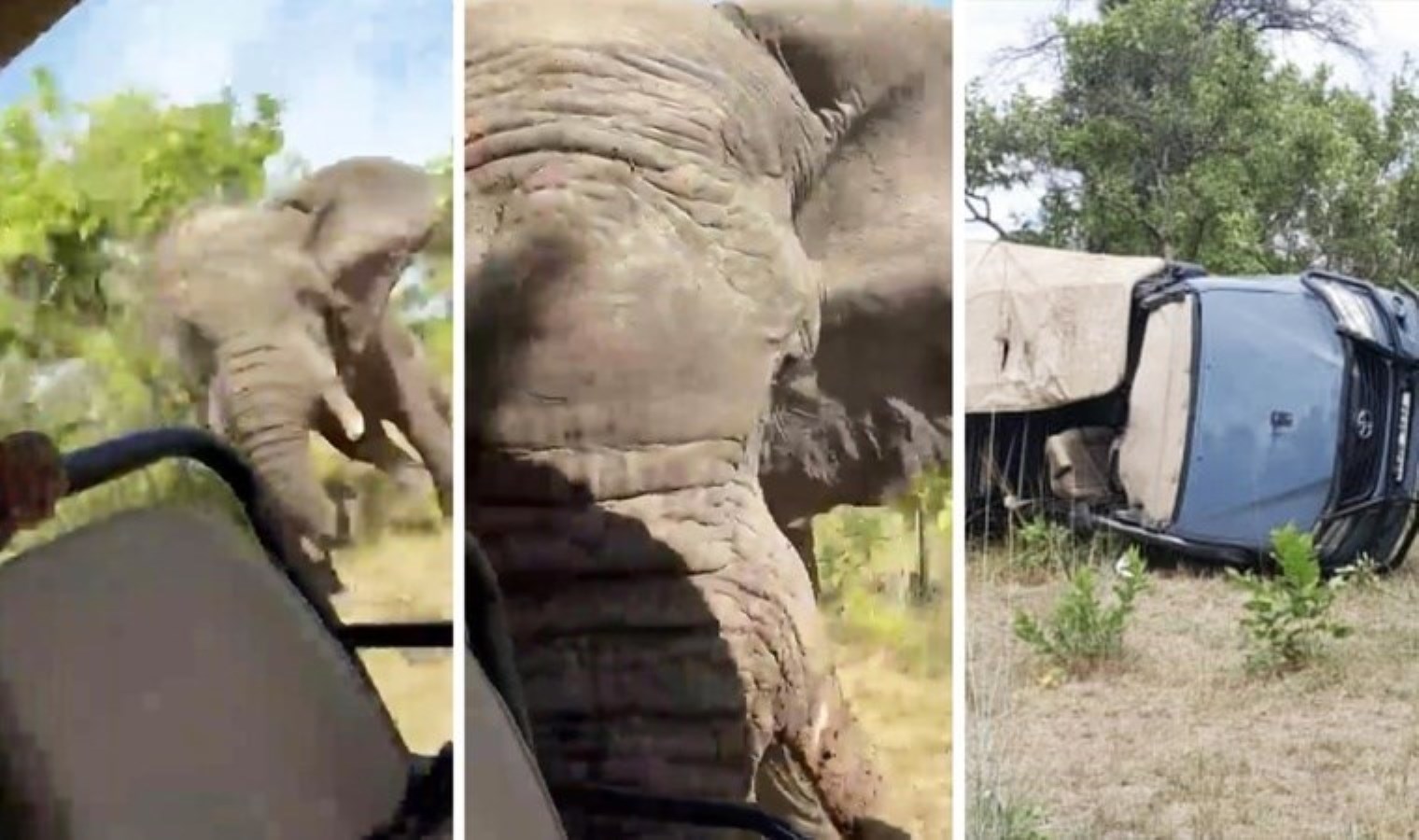 Turistlerin safari tipi mevtle bitti: Arabayı devirerek takla attırdı!