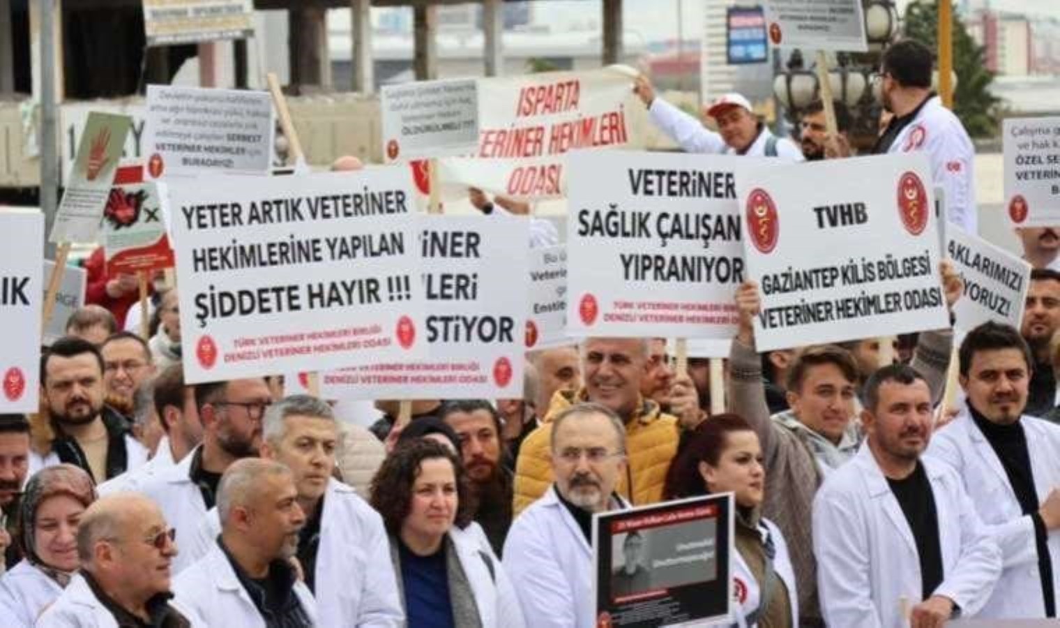 Veteriner tabipler hakları için Ankara’da