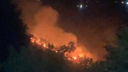 Yalova’da orman yangını 3 saatte söndürüldü: 2 gözaltı