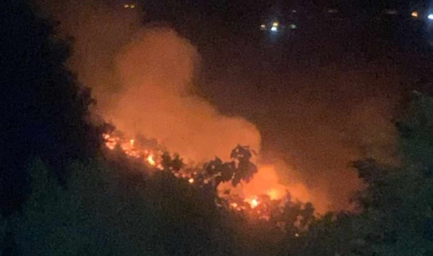 Yalova’da orman yangını 3 saatte söndürüldü: 2 gözaltı