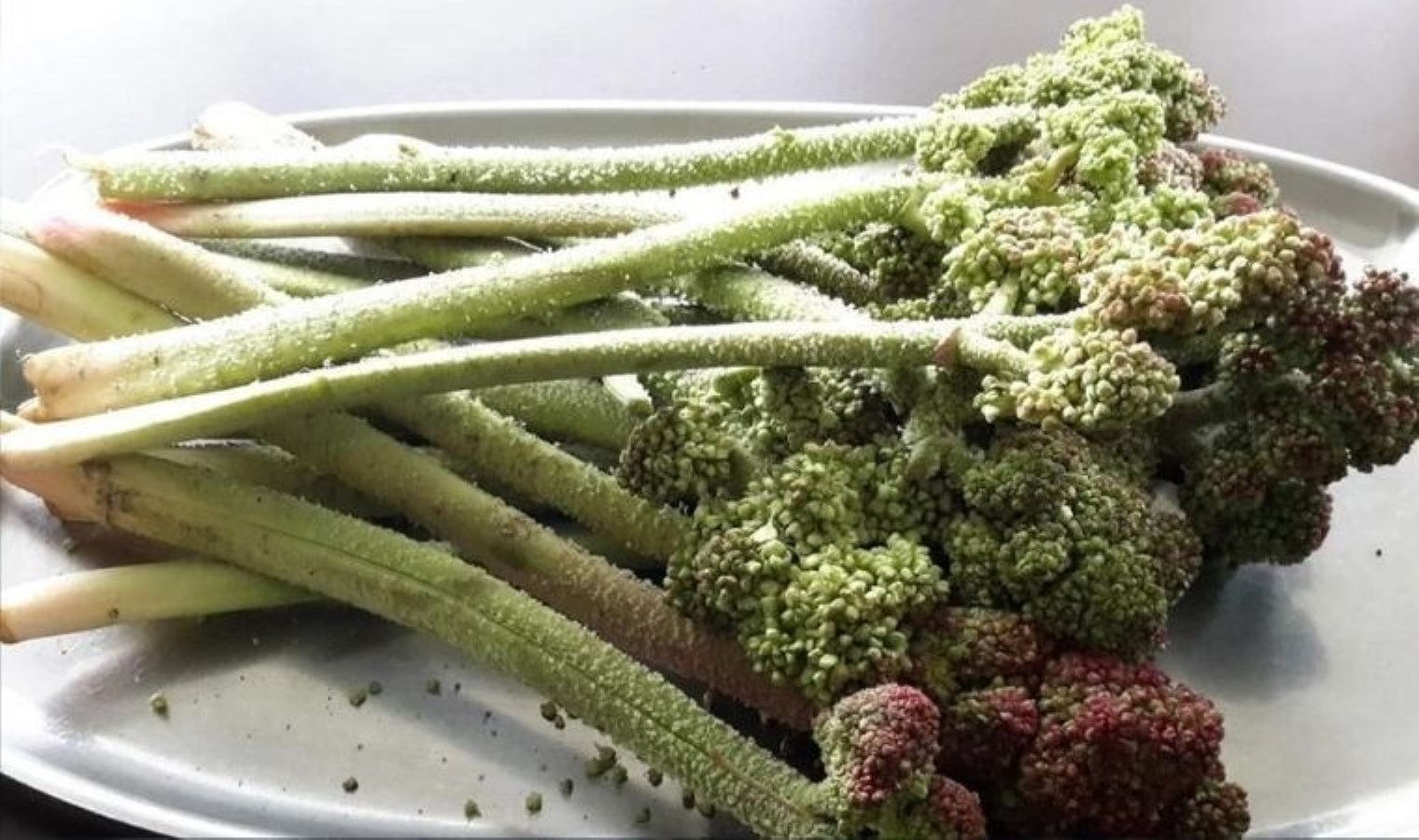 Yayla muzu da denir: Karaciğerin bir numaralı dostu ışkın otu ve yararları…