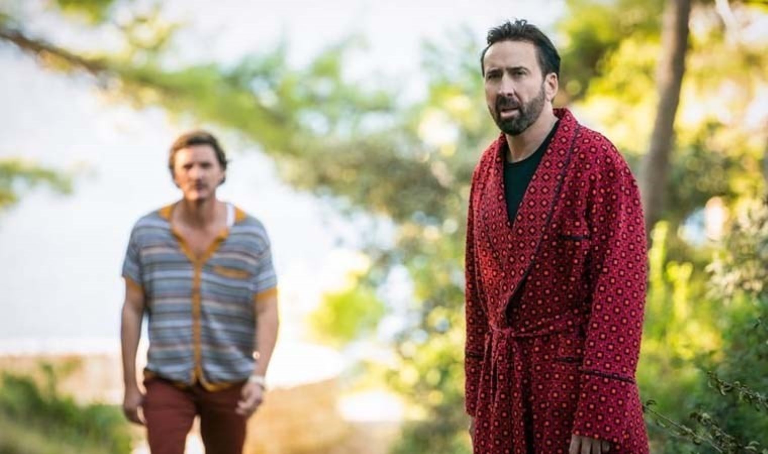 Yetenekli Bay Cage sinemasının konusu ne? Yetenekli Bay Cage sinemasının oyuncuları kim?