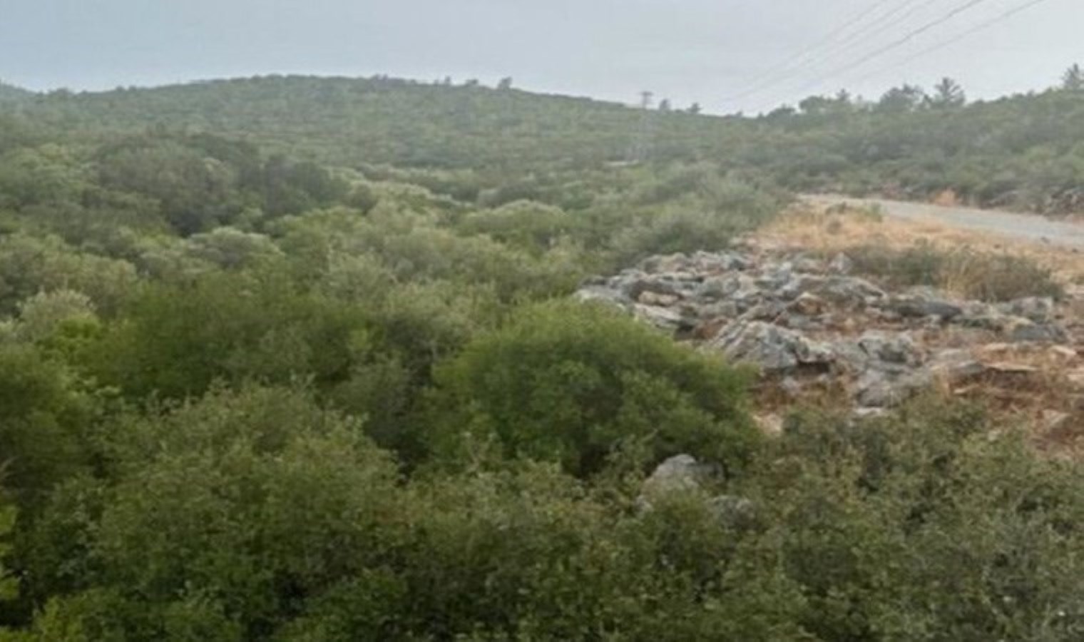 Zeytinlikleri ve pak havasıyla bilinen Akbük, mermer ocağına kurban ediliyor