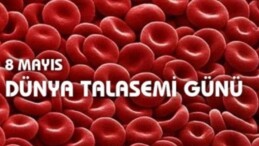 8 Mayıs Dünya Talasemi Günü nedir? Talasemi hakkında bilgiler…