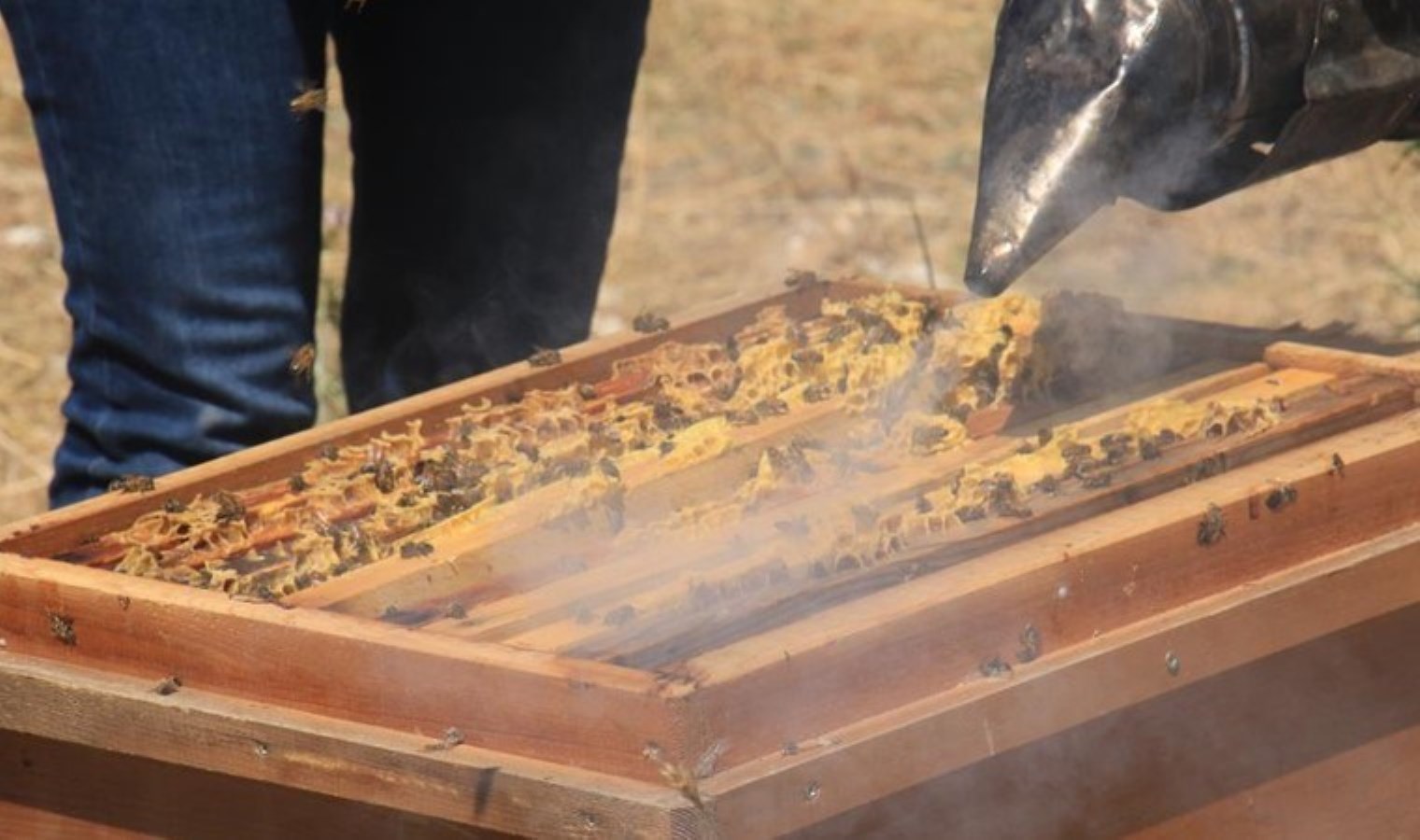 Arıcılar gerçek balı ayırt etmenin en uygun yolunu açıkladı…