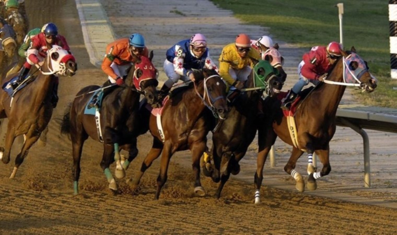 At yarışlarında artık o tabir kullanılmayacak!