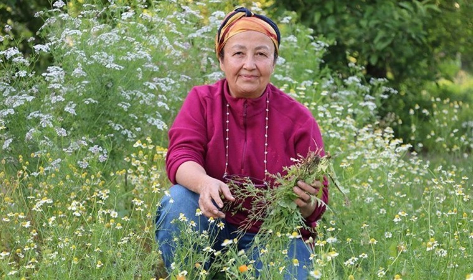 Bahçesinde şifalı bitkiler yetiştiriyor: 5 dönüm bahçede 30 tıp bitki