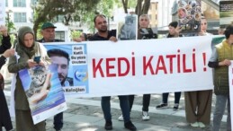 Beyazıt Meydanı’nda kedi vefatlarına protesto