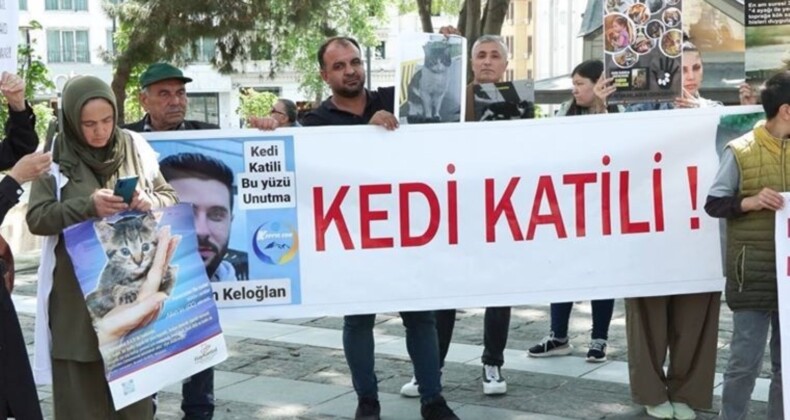 Beyazıt Meydanı’nda kedi vefatlarına protesto