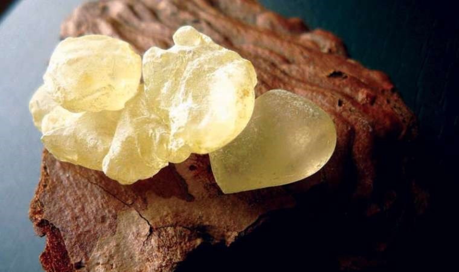 ‘Çeşme damla sakızı’ coğrafik işaretle tescillendi