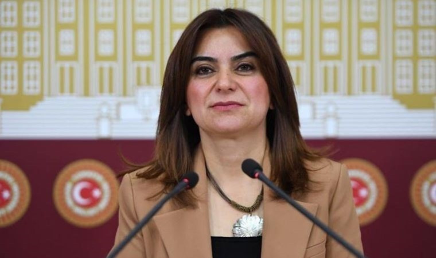 DEM Partili Koçyiğit: AKP’ye değil yeni anayasa yapmaya bir talih vermeli