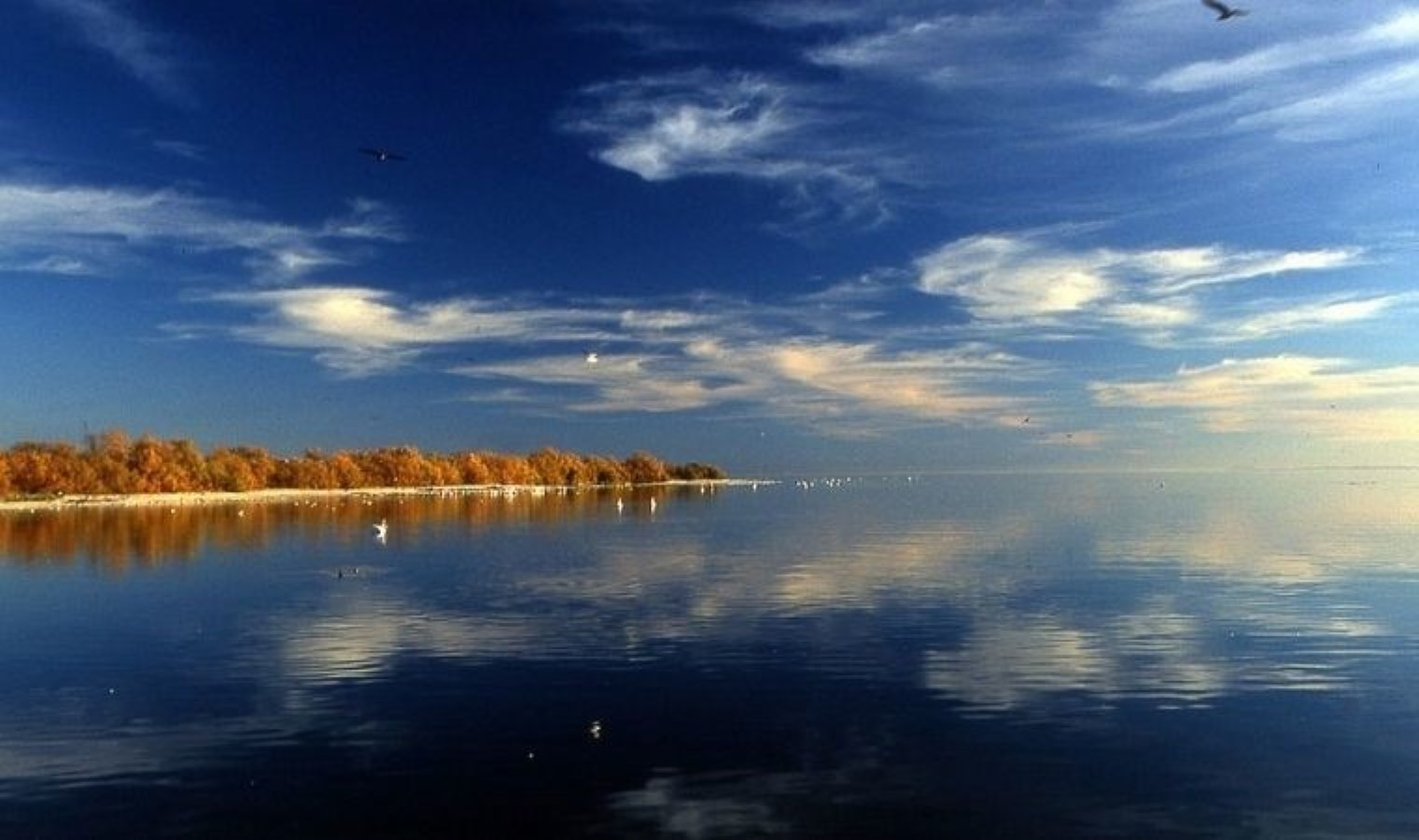 Dev gölün tabanında 540 milyar dolarlık beyaz altın bulundu