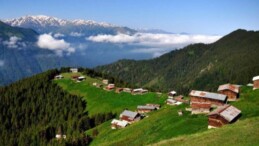 Doğu Karadeniz yaylalarına göç başladı