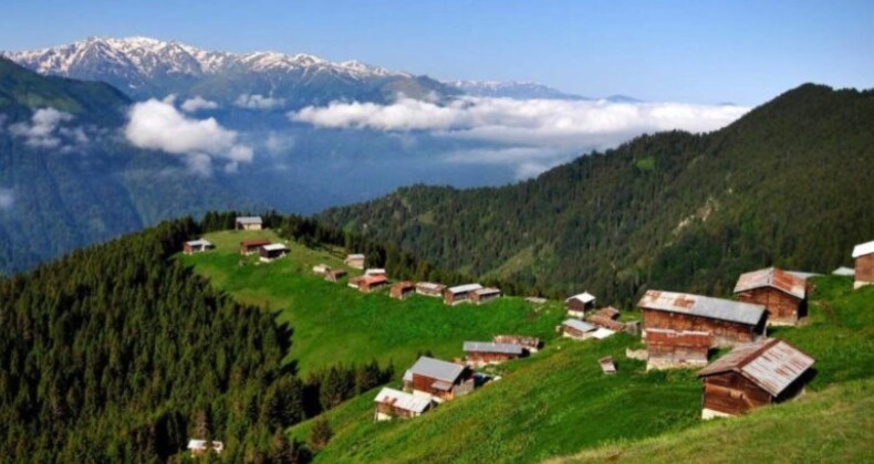 Doğu Karadeniz yaylalarına göç başladı