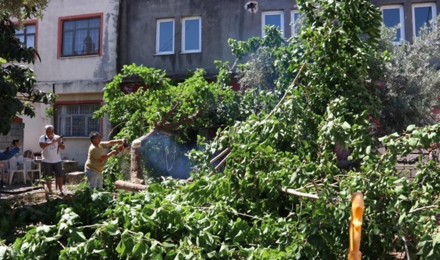 Fethiye’de ’piton’ nöbeti