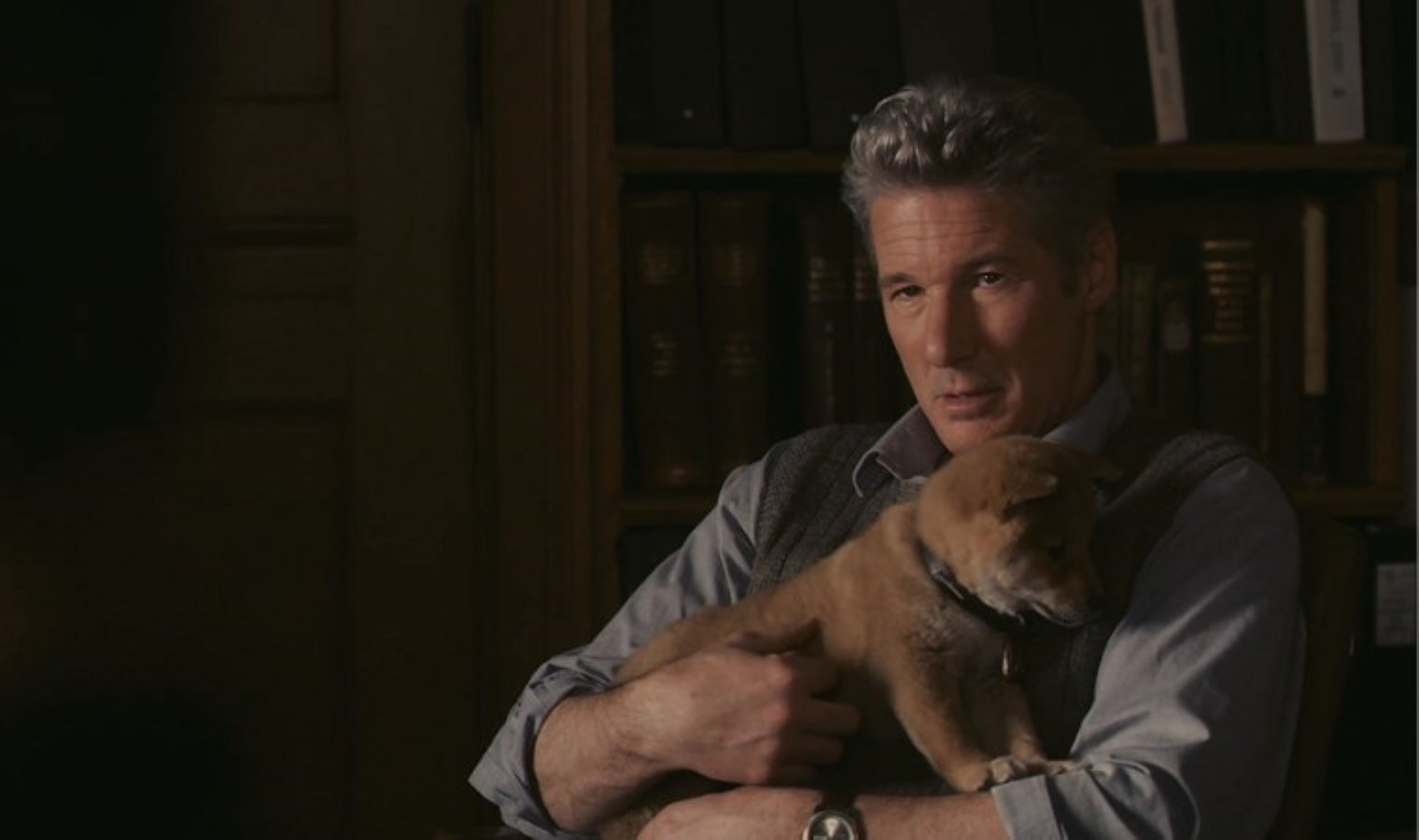 Hachi: Bir Köpeğin Öyküsü sinemasının konusu ne? Hachi: Bir Köpeğin Öyküsü sinemasının oyuncuları kim?