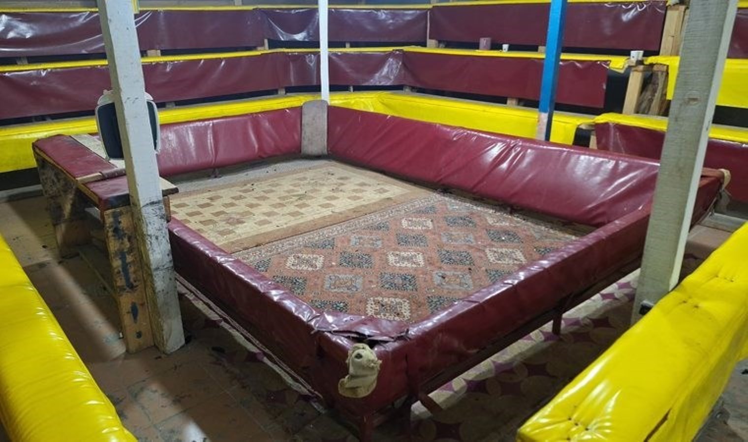 Hayvanları Müdafaa Derneği’nde horoz dövüştürmüşler