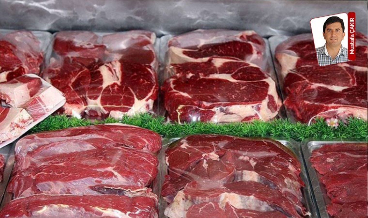 İthalat ve fiyatta rekor