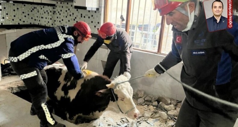 Kahramanmaraş merkezli sarsıntı, hayvancılığı ve çiftçiyi vurdu