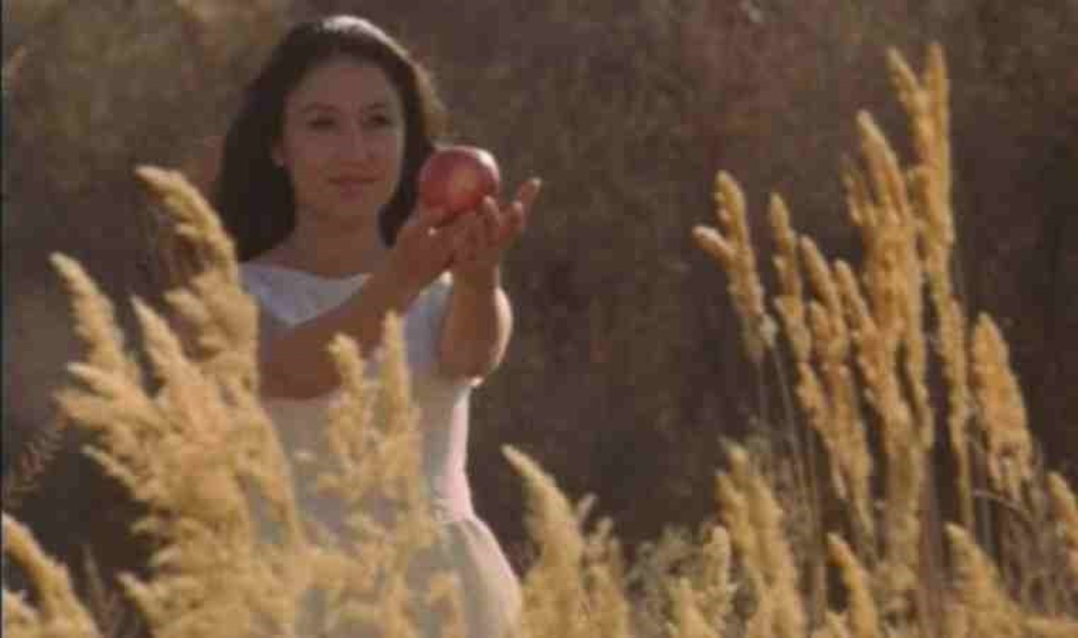 Kızıl Elma sinemasının konusu ne? Kızıl Elma sinemasının oyuncuları kim?