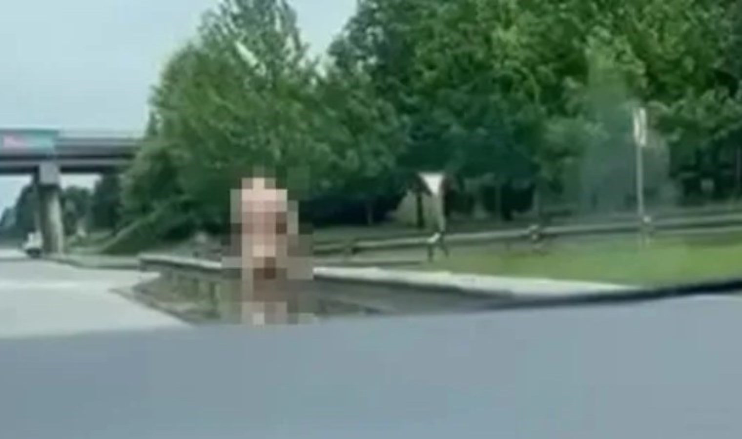 Kocaeli’nde enteresan manzara: Karayolunda çırılçıplak dolaştı