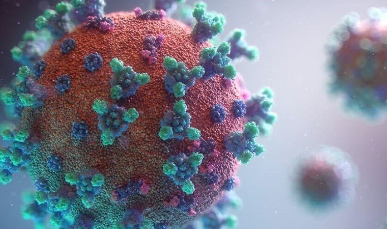 Kovid-19’un DNA dizilimini açıklamıştı: Hakkında karar verildi!