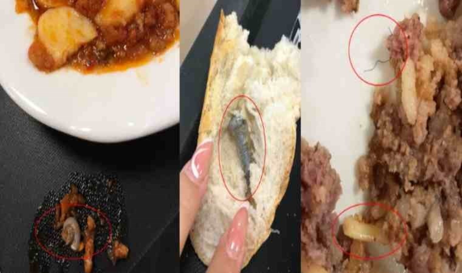 KYK yurdunda yemekten vida, kıl ve salyangoz çıktı savı