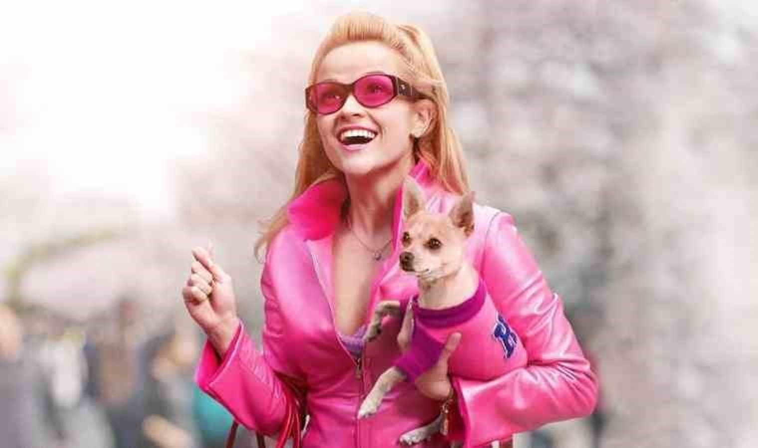 ‘Legally Blonde’ dizisi geliyor…
