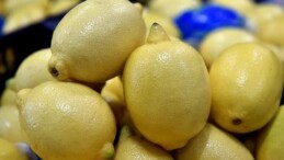 Limonlar Bulgaristan tarafından geri çevrilmişti…. Üretici ve ihracatçı firmalar hakkında soruşturma