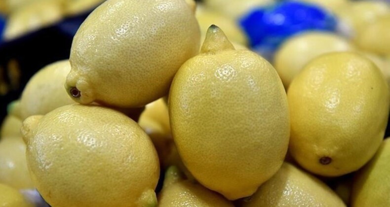 Limonlar Bulgaristan tarafından geri çevrilmişti…. Üretici ve ihracatçı firmalar hakkında soruşturma