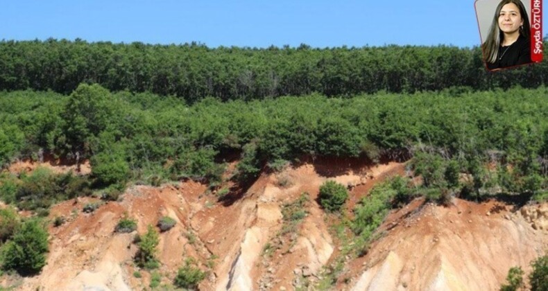 Mahkeme iki defa iptal etti, bakanlık yine onayladı: Tarım yerine maden!