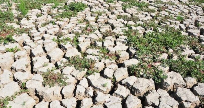 Marmara Gölü’nü kurtarma projesi: 9 Mayıs’ta ihaleye çıkacak