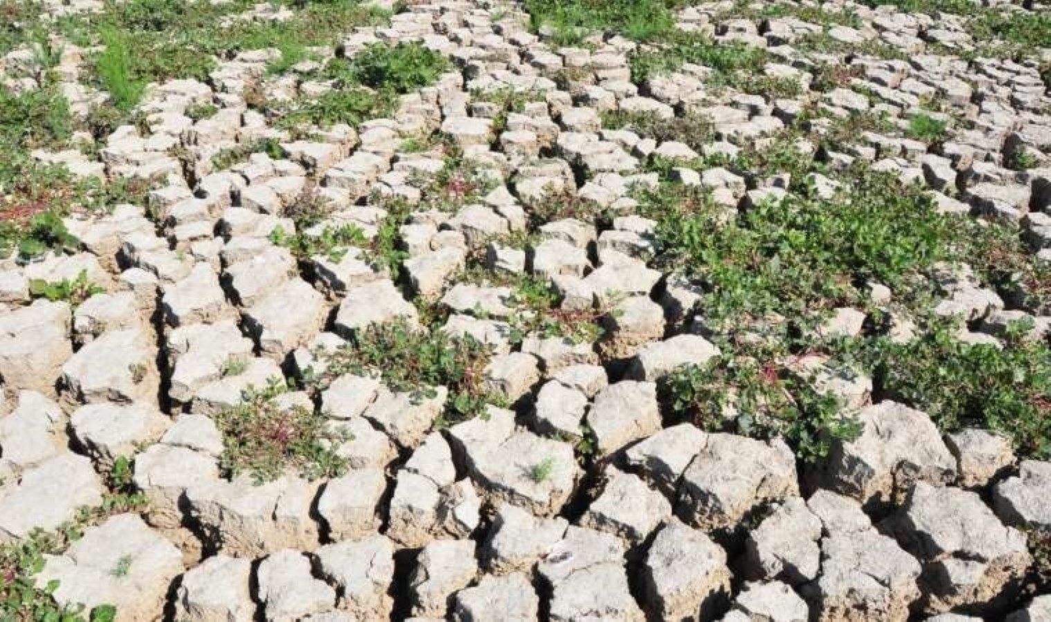 Marmara Gölü’nü kurtarma projesi: 9 Mayıs’ta ihaleye çıkacak