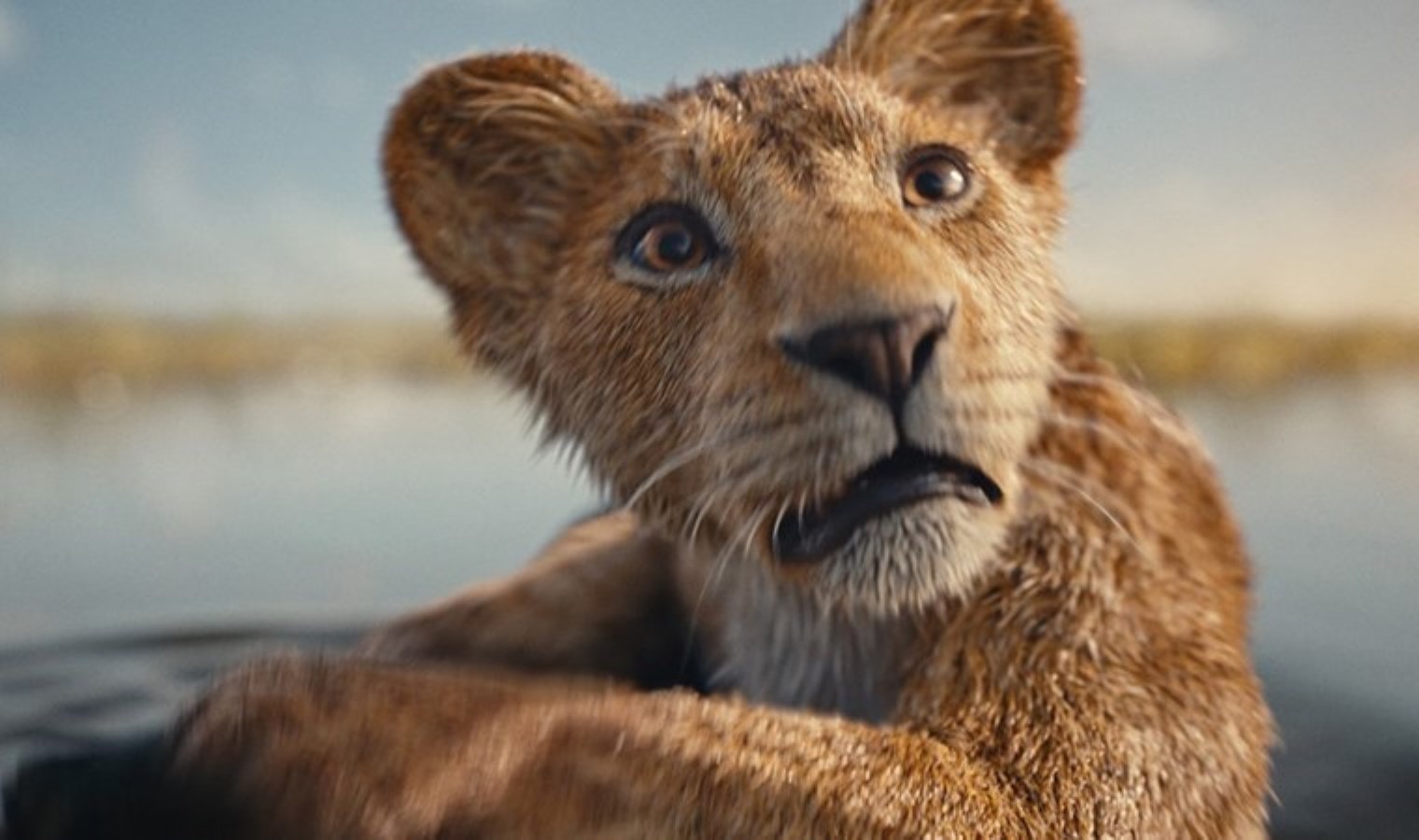 ‘Mufasa: The Lion King’ sinemasının konusu ne, oyuncuları kim? ‘Mufasa: The Lion King’ ne vakit vizyona girecek?