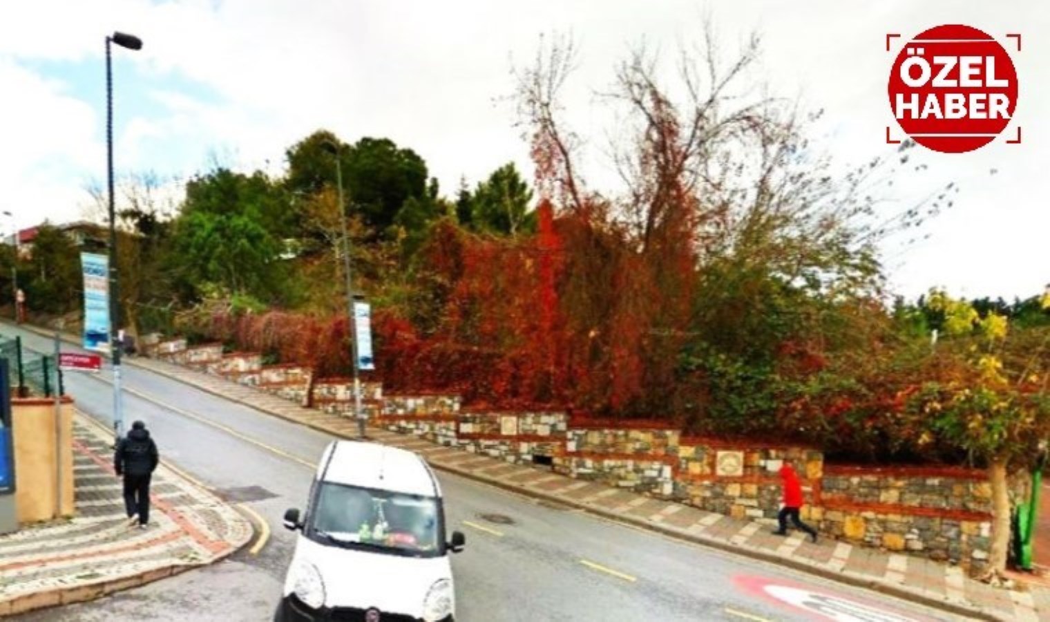 Onay Bakanlıktan: Cemaatin inşaatı için 130 ağaca ‘idam fermanı’