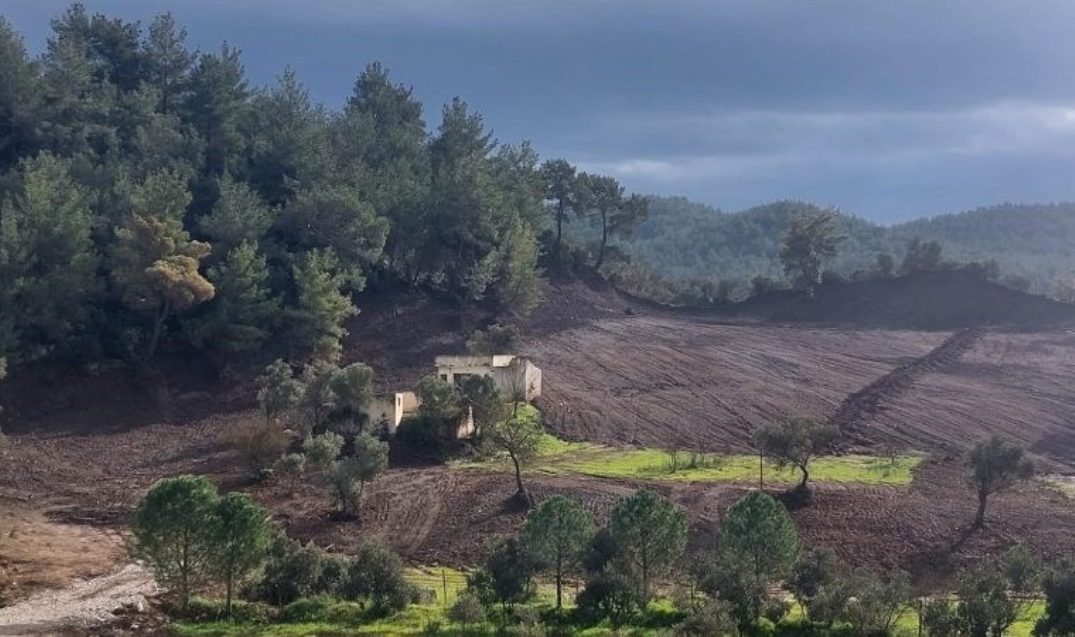 Orhanlı köylüleri çabayı kazandı: ‘Hobi bahçeleri’ mühürlendi’