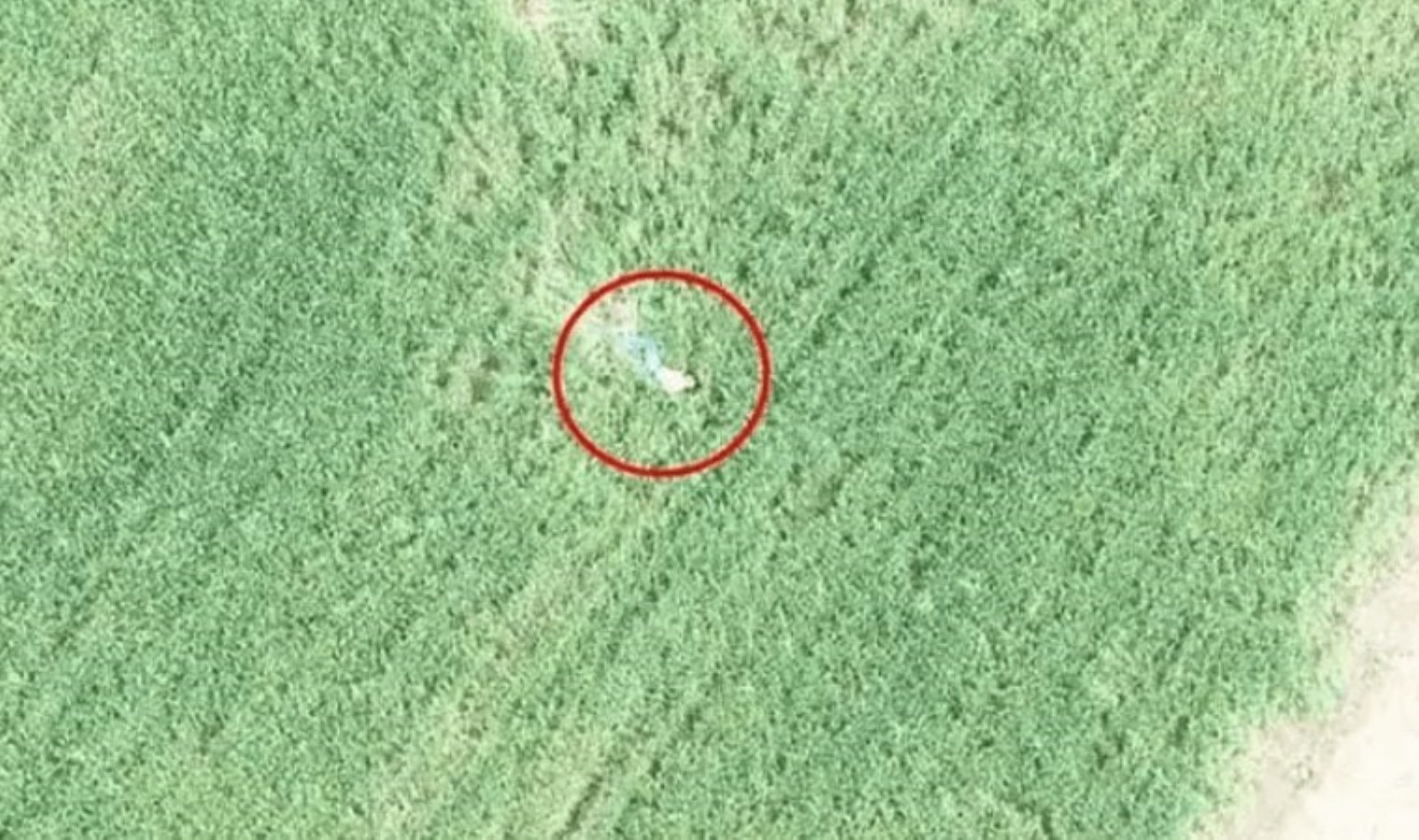 Polisten kaçtılar, drone kamerasına yakalandılar