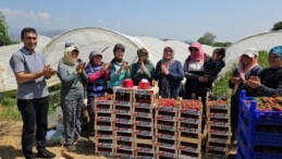 Tarım personelleri 1 Mayıs’ı meydanda değil, tarlada kutladılar