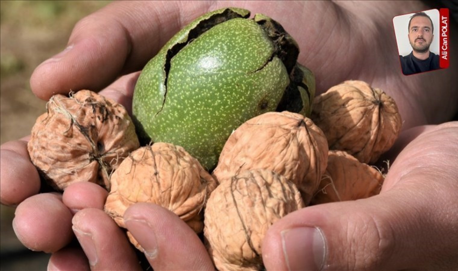 Tarımın her alanında artan maliyetlerle iç pazarda üretim dışarıdan daha değerli oldu