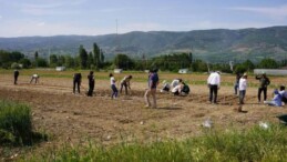 Tokat’ta tarım toprağı üzerine yapılmak istenen kent hastanesine reaksiyon