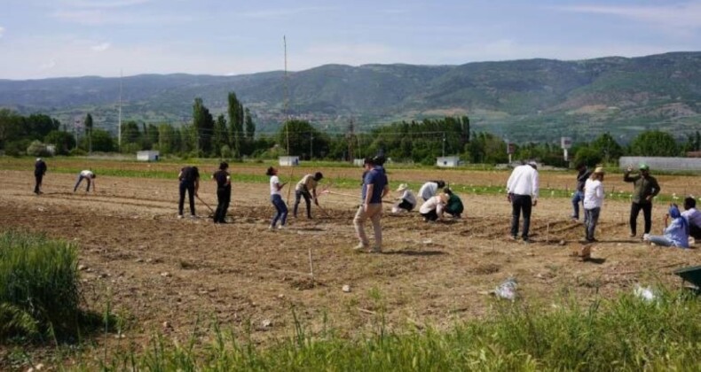 Tokat’ta tarım toprağı üzerine yapılmak istenen kent hastanesine reaksiyon